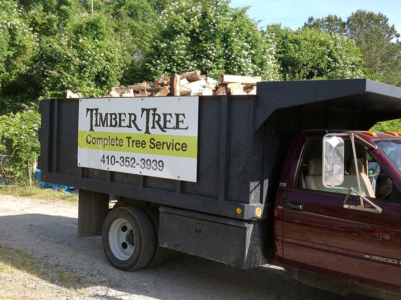 timber_tree_services_berlin_md-gallery